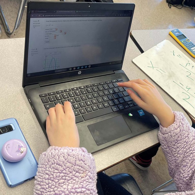 Online Math Assessment Tool