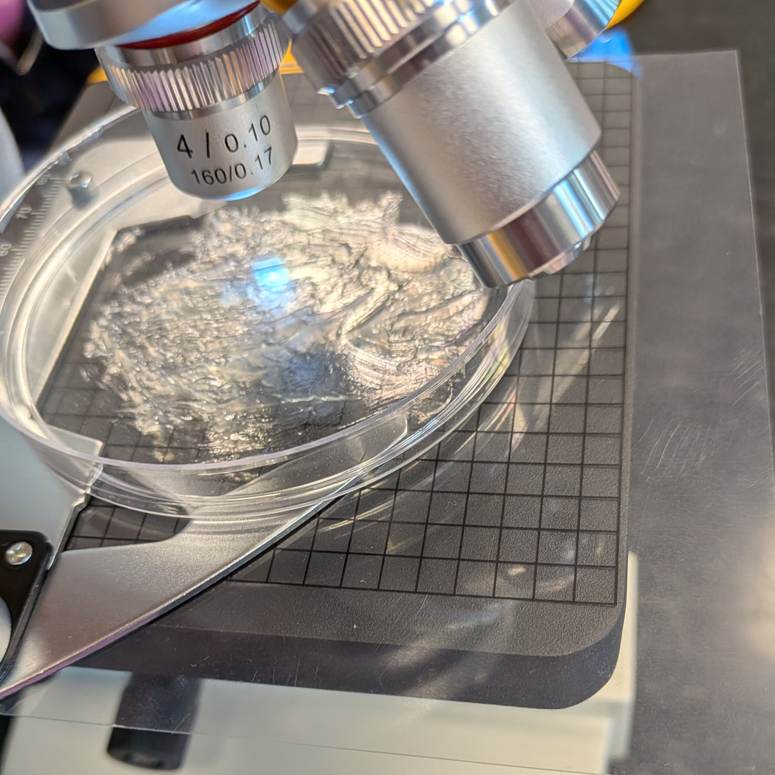 Close up view of a microscope