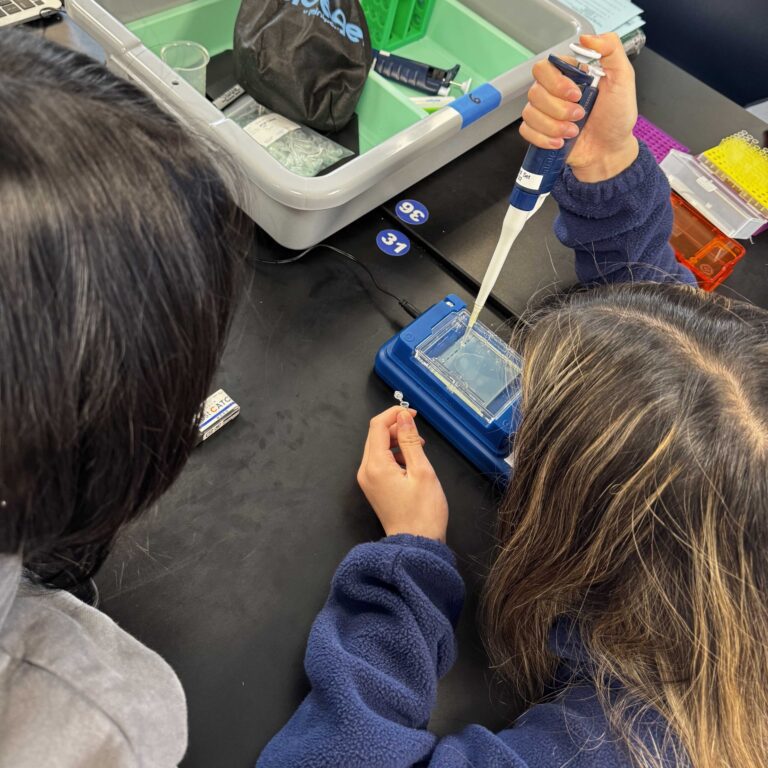 Two students working in AP Biology Lab using reagents gel electrophoresis